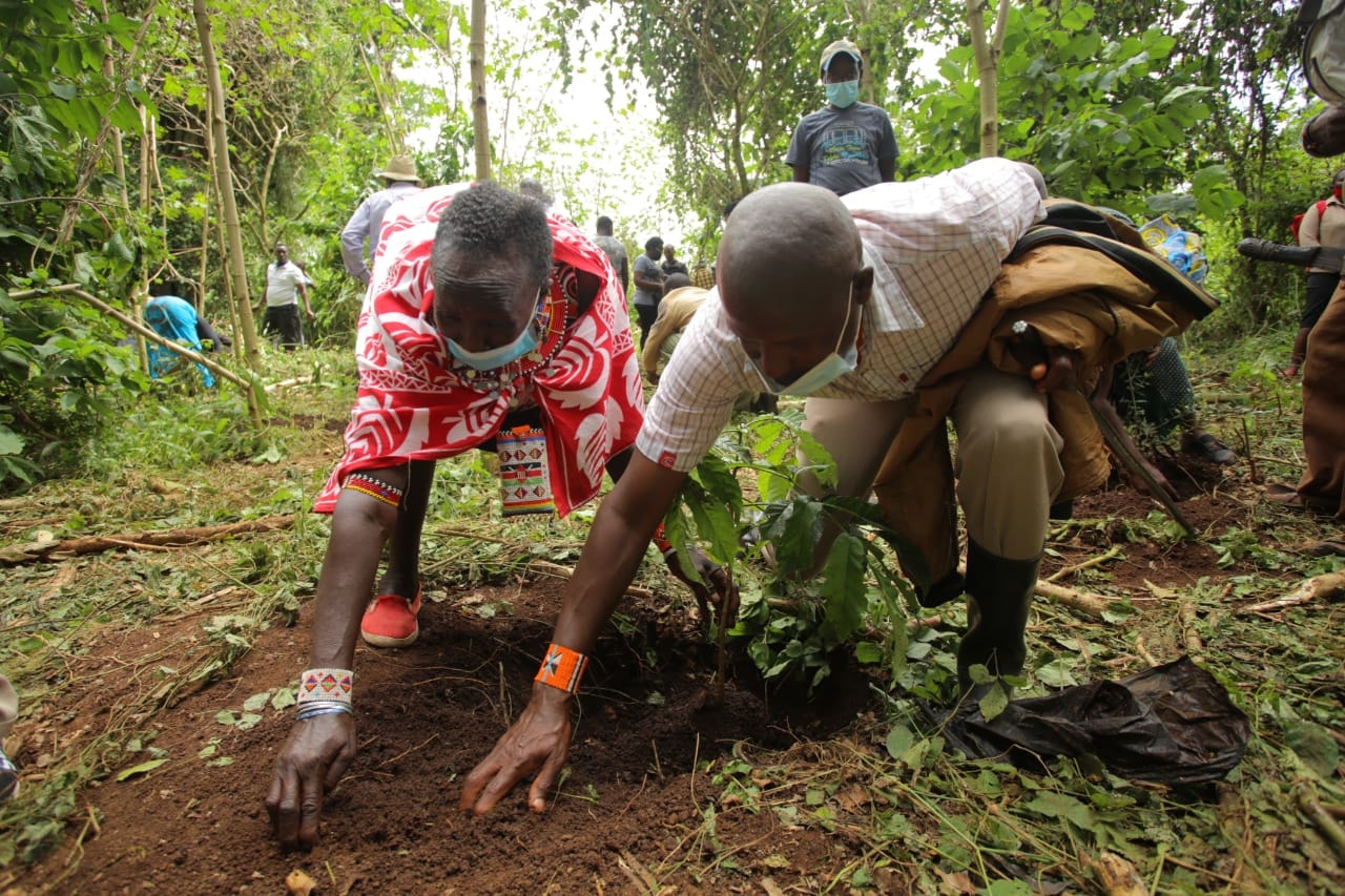 Agriculture – County Government of Kajiado